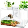 Générique Aquarium, kit habitat per tartarughe con zona multifunzione e filtro acqua completo per tartarughe e animali acquatici, acquario per tartarughe con piattaforma di riposo, scatola di osservazione per