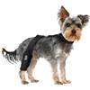 Generic Ginocchiera per cani - Manicotto di supporto per gamba posteriore | Protezione regolabile antiscivolo per ginocchio canino | Morbida fascia a compressione traspirante | Ideale per assistenza alla