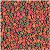 NATURAVIVA BASSANO TARTA TUTTA FRUTTA alimento vegetale alla frutta per tartarughe terrestri senza proteine animali, speciale per tartarughe in crescita (250 gr)