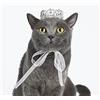 Lovelyshop - Mini corona rotonda per cane/gatto con strass Royal