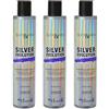 Helen Seward 3pz QUICK & EASY Silver Evolution Shampoo Capelli Antigiallo 250ml