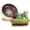 ARTKETTY 2 Pack di vasi per piante grasse, grandi vasi per piante di cactus con vassoio di drenaggio, vaso bonsai in ceramica per interni per il giardino e la casa