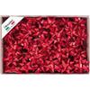 Brizzolari Coccarde Stella Splendid Rosse 10mm Cf 100 Pz