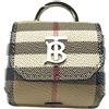 Burberry Check Wireless Earbuds Pro Case 151055642