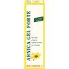 NATURWAREN ITALIA Srl Theiss arnica gel forte 100 ml - NATURWAREN - 902348907
