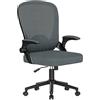 naspaluro Sedia da Ufficio Ergonomica Bracciolo Ribaltabile, Poltrona Ufficio Supporto Lombare Unico, Cuscino Imbottito, Sedia da Ufficio Regolabile in Altezza, Per Casa Ufficio, Studio,Grigio Scuro