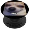 Funny Chihuahua Dog Theme Meme Graphics Meme sfocato carino con cane chihuahua Ladies PopSockets PopGrip Adesivo
