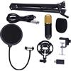 Ejoyous BM800 - Set di microfono a condensatore professionale, per studio Broadcast YouTube Live Stream
