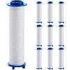 Generico Pulifer Doccino per Doccia, Soffione Doccia Alta Pressione Regolazione a Tre Livelli, 1 Filtro Integrato e 5 Filtri, Risparmio Idrico ed Energetico (10 Filters)