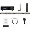 OEM Amplificatore di potenza, connettività Bluetooth, supporto Hi-Res Audio, solo A80