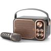 OEM Set karaoke per adulti e bambini - Impianto karaoke portatile con sistema di altoparlanti PA e microfono wireless - Ideale per feste private