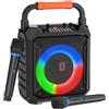 OEM Apparecchio per karaoke, 2 microfoni wireless, altoparlanti da 6,5 pollici, potenza di uscita 15 W, batteria da 5200 mAh, luci LED