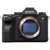 Sony Alpha 1 (ILCE-1) + FE 70-200mm f/2.8 GM II