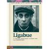 Ligabue (Box 3 Dvd)