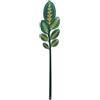 Vesta FUNNY FLOWERS, fiore in plexiglass FOGLIA CALATHEA PICCOLA