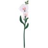 Vesta FUNNY FLOWERS, fiore in plexiglass ORCHIDEA GRANDE