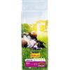 BONZO PURINA Bonzo Maxi con Manzo Crocchette per cane - 15 kg