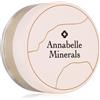 Annabelle Minerals Mineral Concealer 4 g