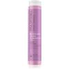 Paul Mitchell Clean Beauty Blonde Shampoo 250 ml