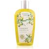 Bohemia Gifts Bohemia Herbs Olive Oil 250 ml