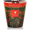 Baobab Collection Arty Flowers Poppies 1000 g