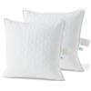 Deodar Cuscini in Piuma d'Oca 45X45 Set di 2, Imbottitura in 95% Piumino e 5% Piume d'Oca, Cuscini Decorativi per Letto Divano Hotel, 3 Camere Traspirante Lavabile, Certificato Öko-Tex e RDS