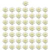 GERUI 50 fiori artificiali,teste di fiori,fiori artificiali,rose,fiori artificiali,fiori decorativi,fai da te,decorazione da tavolo,matrimonio,battesimo,comunione, fiori,applicazioni (bianco crema)