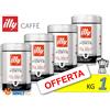 Illy Caffè ILLY Macinato per MOKA → 250 gr - Caffe con Tostatura dal Gusto FORTE