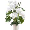 Gasper Pianta Artificiale Phalaenopsis H110 cm Real Touch con Vaso