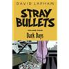 David Lapham Stray Bullets Volume 4: Dark Days (Tascabile)