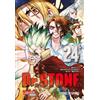 BOICHI Riichiro Inag Dr. Stone 24: Verrückte Abenteuer, Action und W (Tascabile)