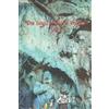 Reed Ru The Saga of Moon Palace Vol 1 (Tascabile) Tales of Terra Ocean