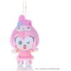 Sega Fave (Sega Fave) SEGA FAVE SONIC & FRIENDS Personaggi Sanrio mascotte Amy x My Melody