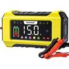 Nexpeak Caricabatterie auto 12V 15A 24V 8A QiNEXPEAK LED protezione