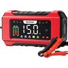 Nexpeak Caricabatterie auto 12V 15A, 24V 8A, LED, intelligente, sicuro