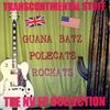 Rockats Transcontinental Stuff - The NV EP Collection (CD)