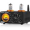 ST-01 PRO, Amplificatore Hifi, 200W Mini Amplificatore a Valvole Con Bluetooth 5