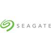 Seagate HDD 3.5" 10 TB ST10000VN000 Seagate