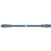 Raymarine Seatalk Ng-backbone Blu 1 m Blu 1 m