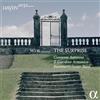 AMPED HAYDN2032 VOL.16: THE SURPRISE