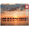 Educa - Puzzle 1000 pezzi Tramonto a Beach Cable | Puzzle mare | Misura 68x48 cm | Include colla Fix | Per adulti 14+ (18492)