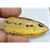 Gemsmyriad 100% Naturale Tanzania Giallo Ambra 20.40 CT Non Trattati Certificato S Insetto