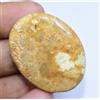 gemsmyriad Pendente In Corallo Naturale Dell'Indonesia Da 60,90 Ct Da Gemma Sciolta