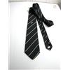 FERROVIE DELLO STATO F S FERROVIE DELLO STATO NUOVA NEW PURA SETA PURE SILK MADE IN ITALY