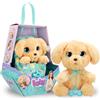 Imc Toys BABY PAWS Labrador, Interactive Plush Puppy With Sounds That Opens And Closes Ey