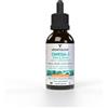 Vegetology Omega 3 liquido concentrato DHA + EPA da microalghe - 30ml