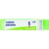 BOIRON Srl LEDUM PALUSTRE 5CH GRANULI MULTIDOSE