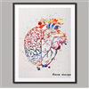 Terilizi Quadro su Tela Acquarello Originale Cuore E Cervello Equilibrio Quadro su Tela Anatomia Wall Art Poster Stampa Immagini Decorazioni per La Casa-40X50Cm Senza Cornice
