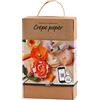 CREATIV COMPANY Kit fai da te - Carta crespa (97738)