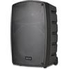 FARFISA | Cassa Acustica Wireless Trolley da 100W con 2 Microfoni Senza Filo, 40x60x36 cm